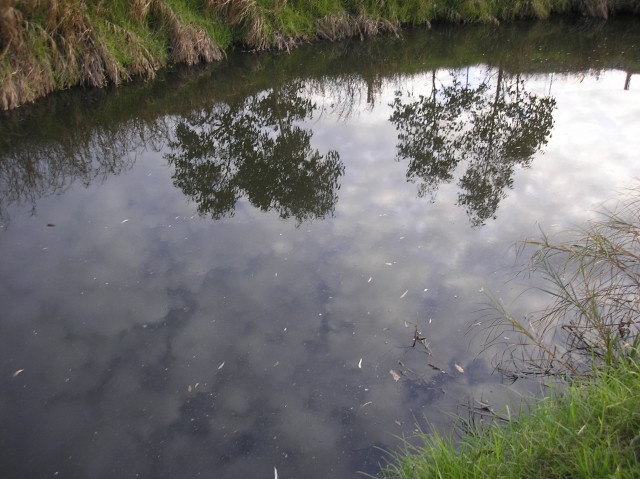 Nice arvo fishing Nice arvo fishing